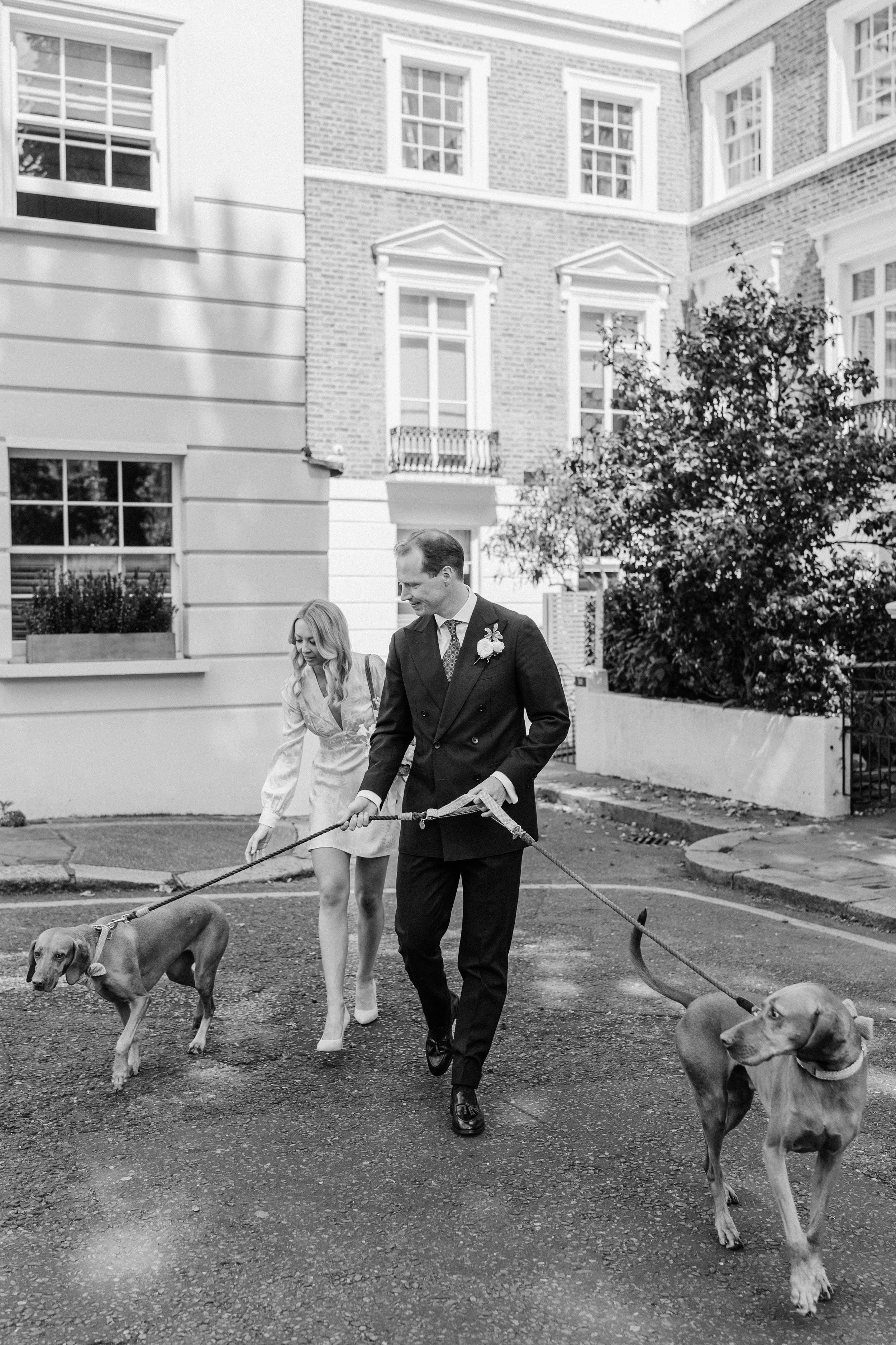 Elegant intimate ceremony with dogs at Chelsea Town Hall