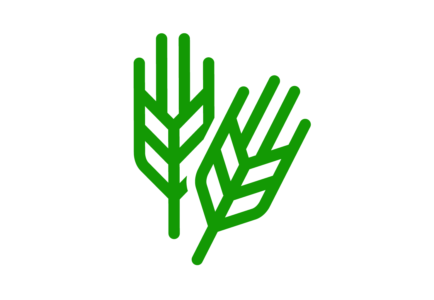 Spring/Fall Clean Ups