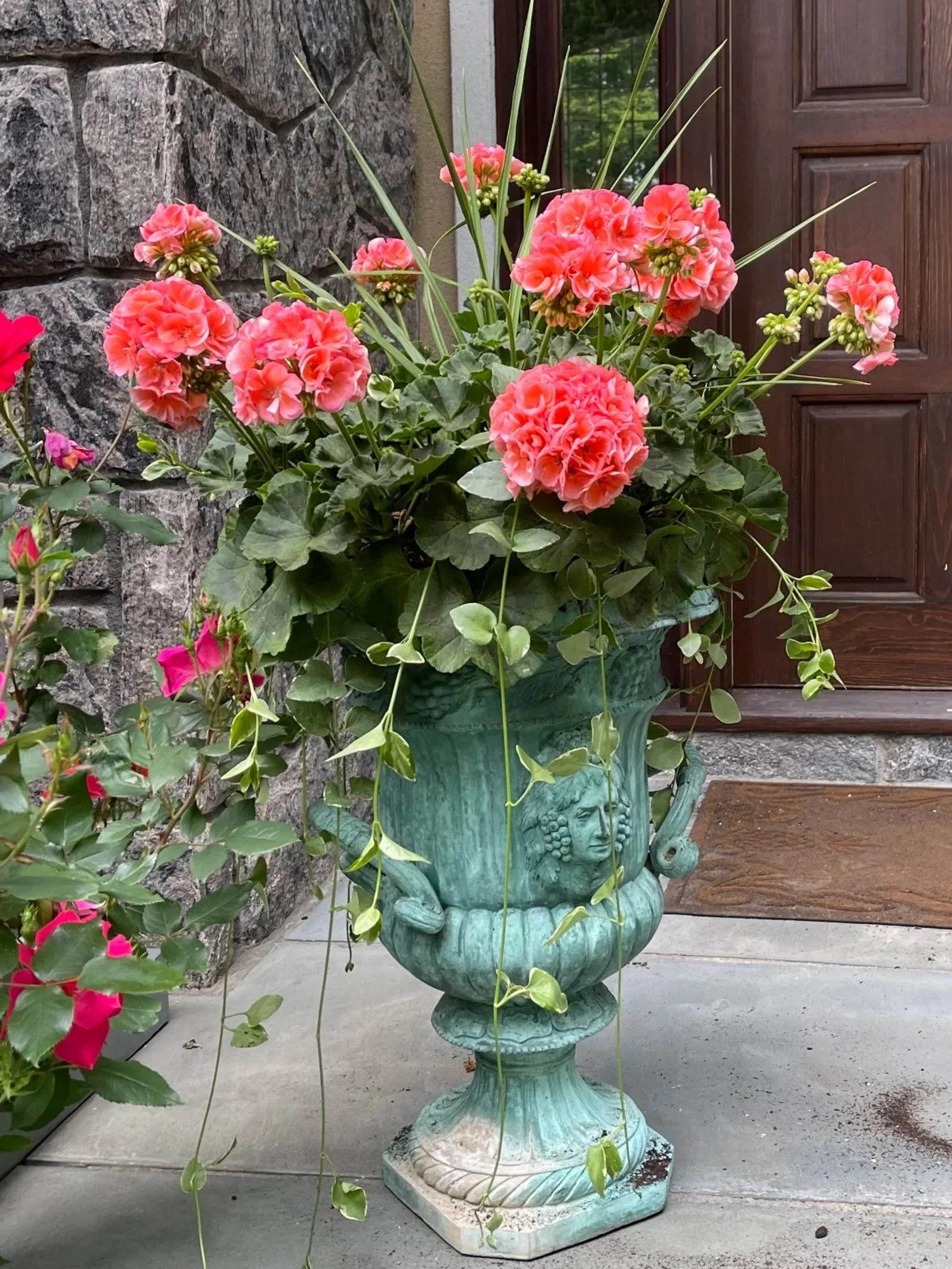 Pink and peach geranium flowers in a large, ornate green planter with face designs, placed outdoors near a stone wall and wooden door.