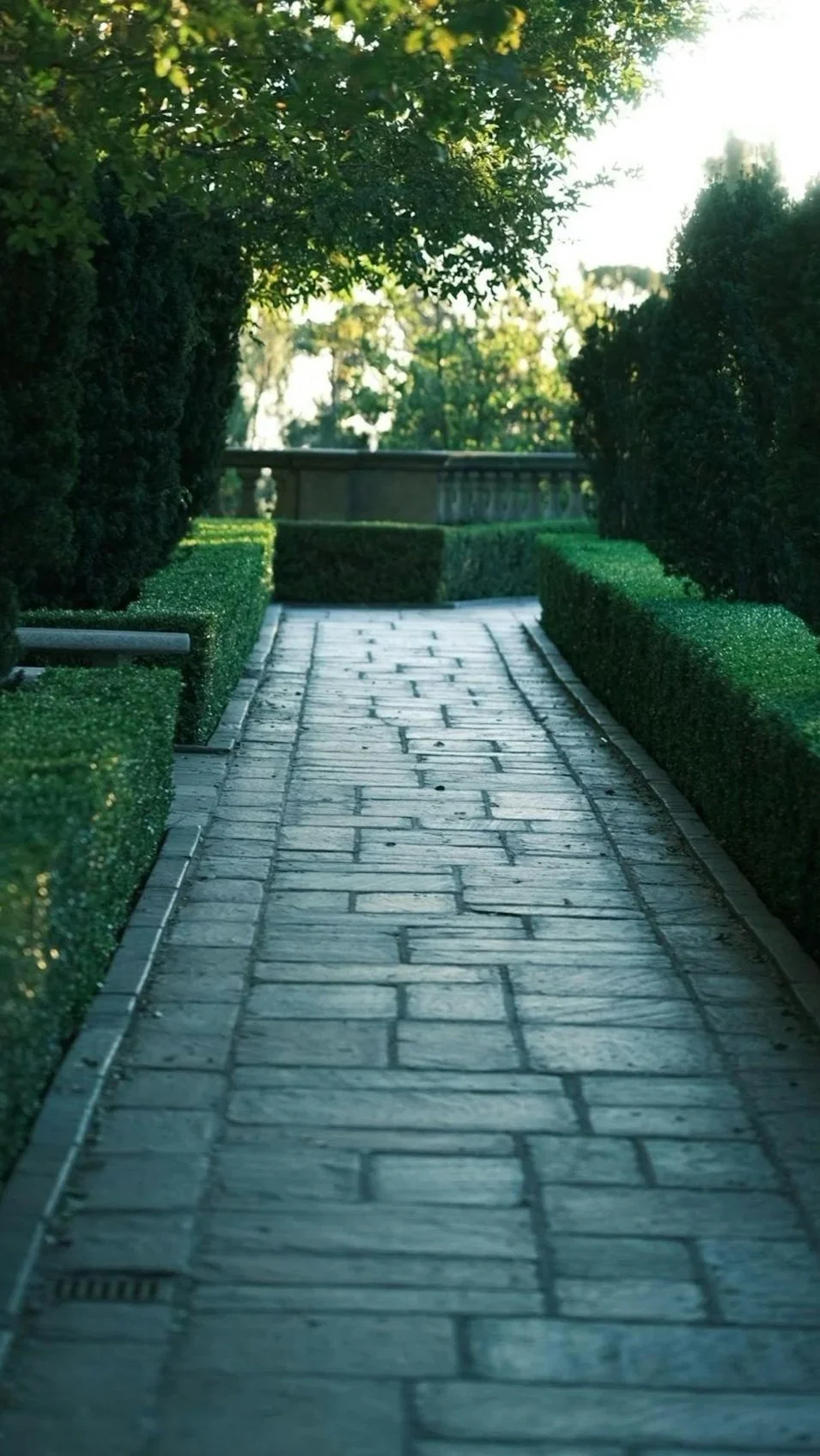A stone pathway lined with neatly trimmed green bushes and trees, leading towards a railing and trees in the distance, with sunlight filtering through the leaves.