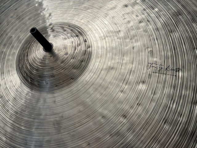 IMG_5019 2 Medium.png