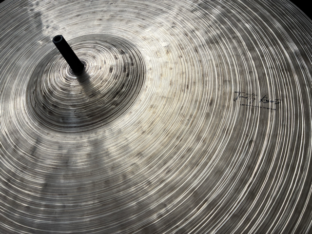 IMG_5015 2 Medium.png