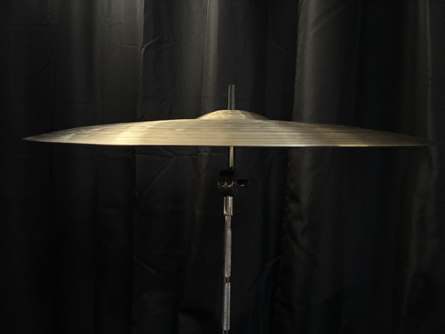 IMG_5020 2 Medium.png