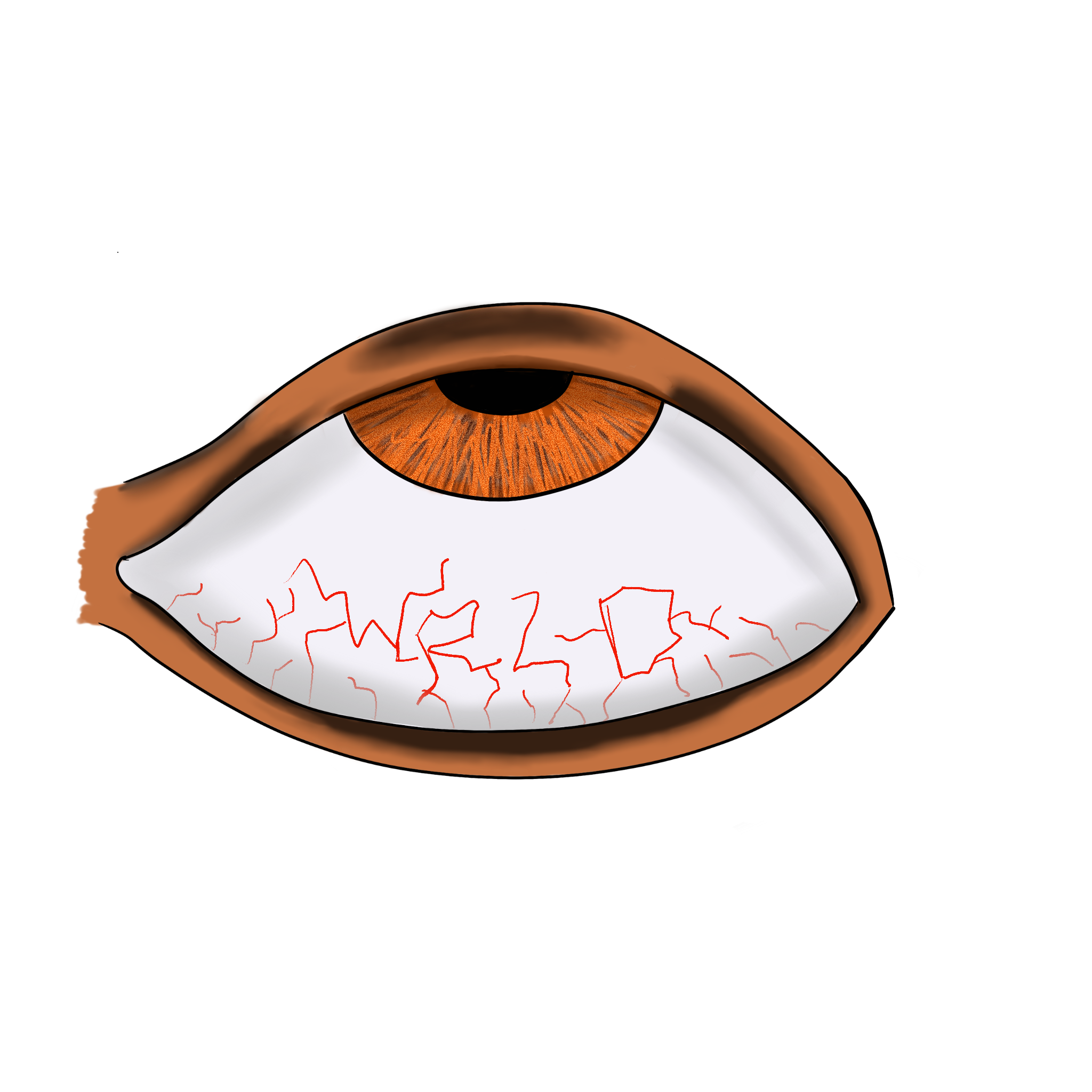 IMG_0481.png