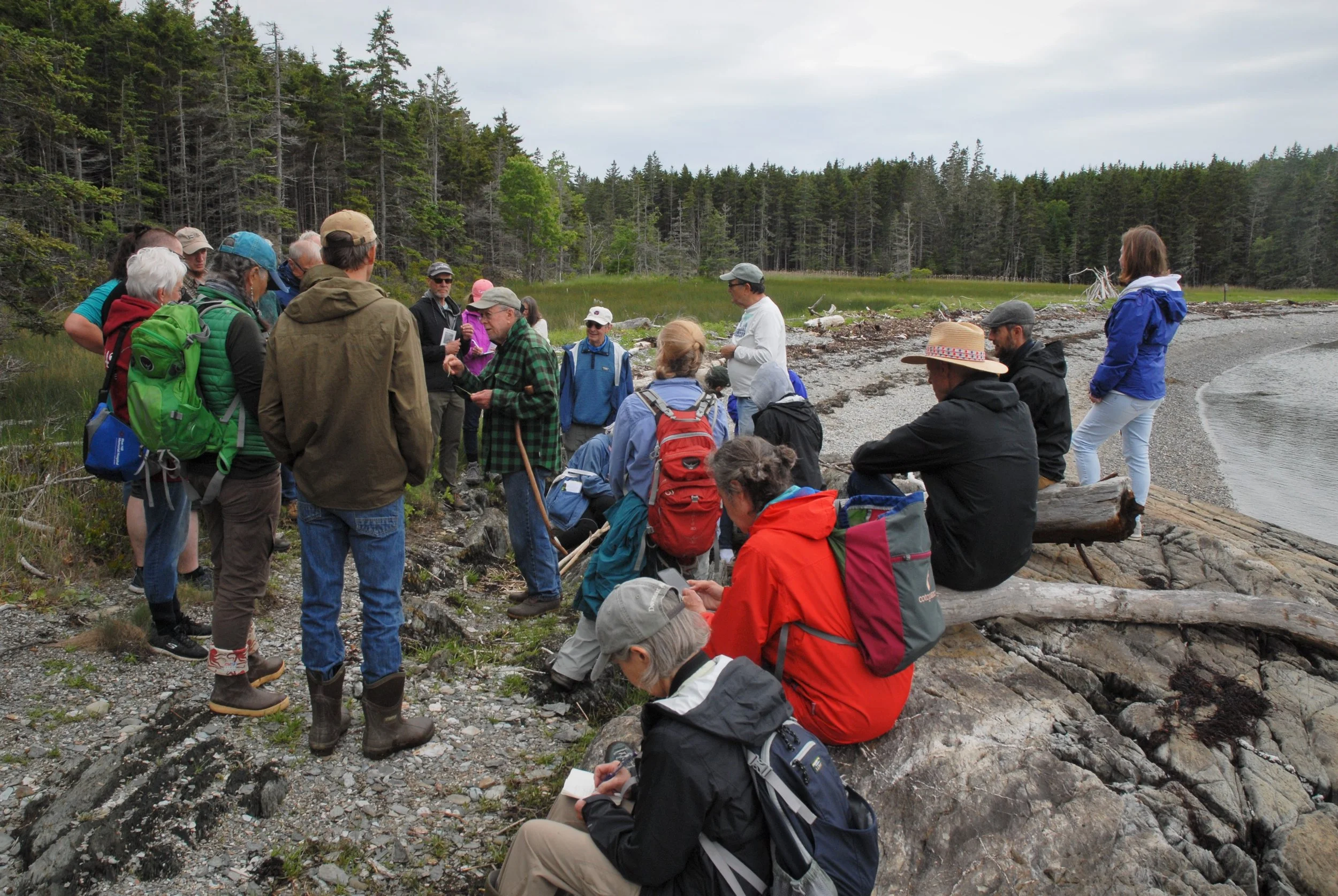 Holbrook Island Plant Walk — Wilson Museum