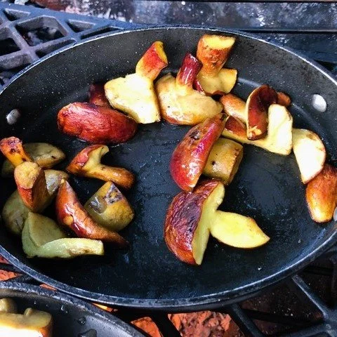 Roasted Bicolor Boletes