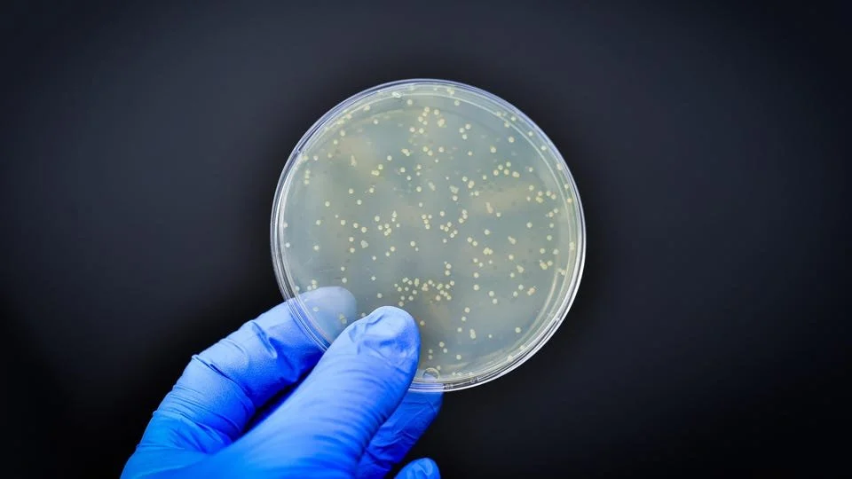 LIFE RCN is featured in Forbes!