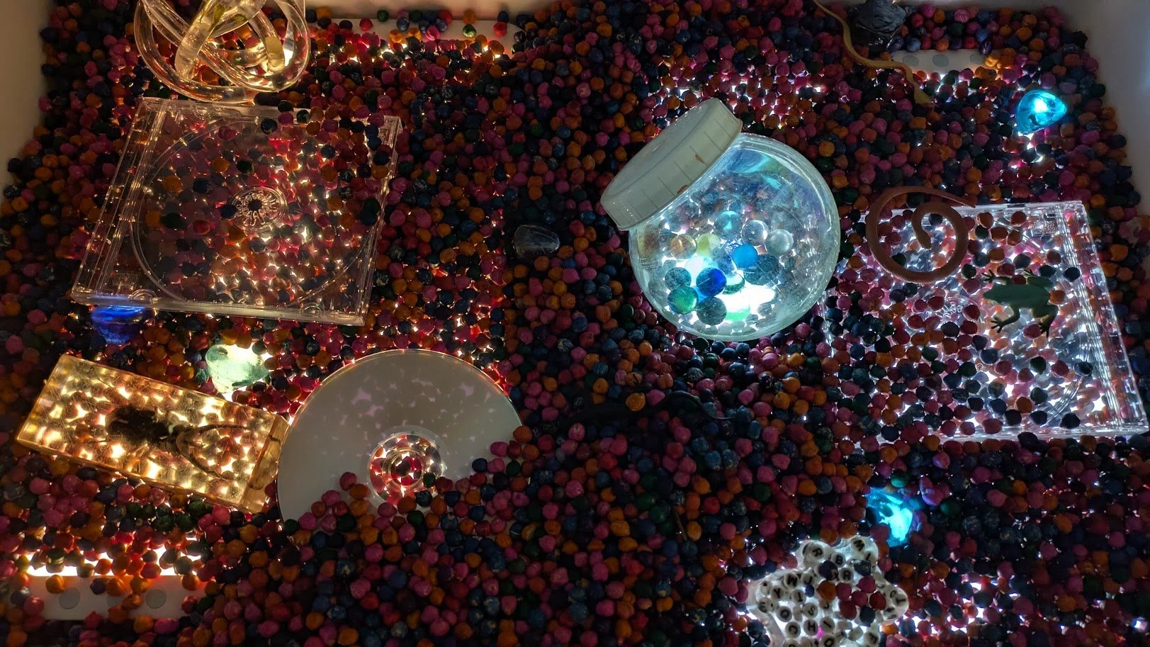 PXL_20251119_143926803 (2).jpg