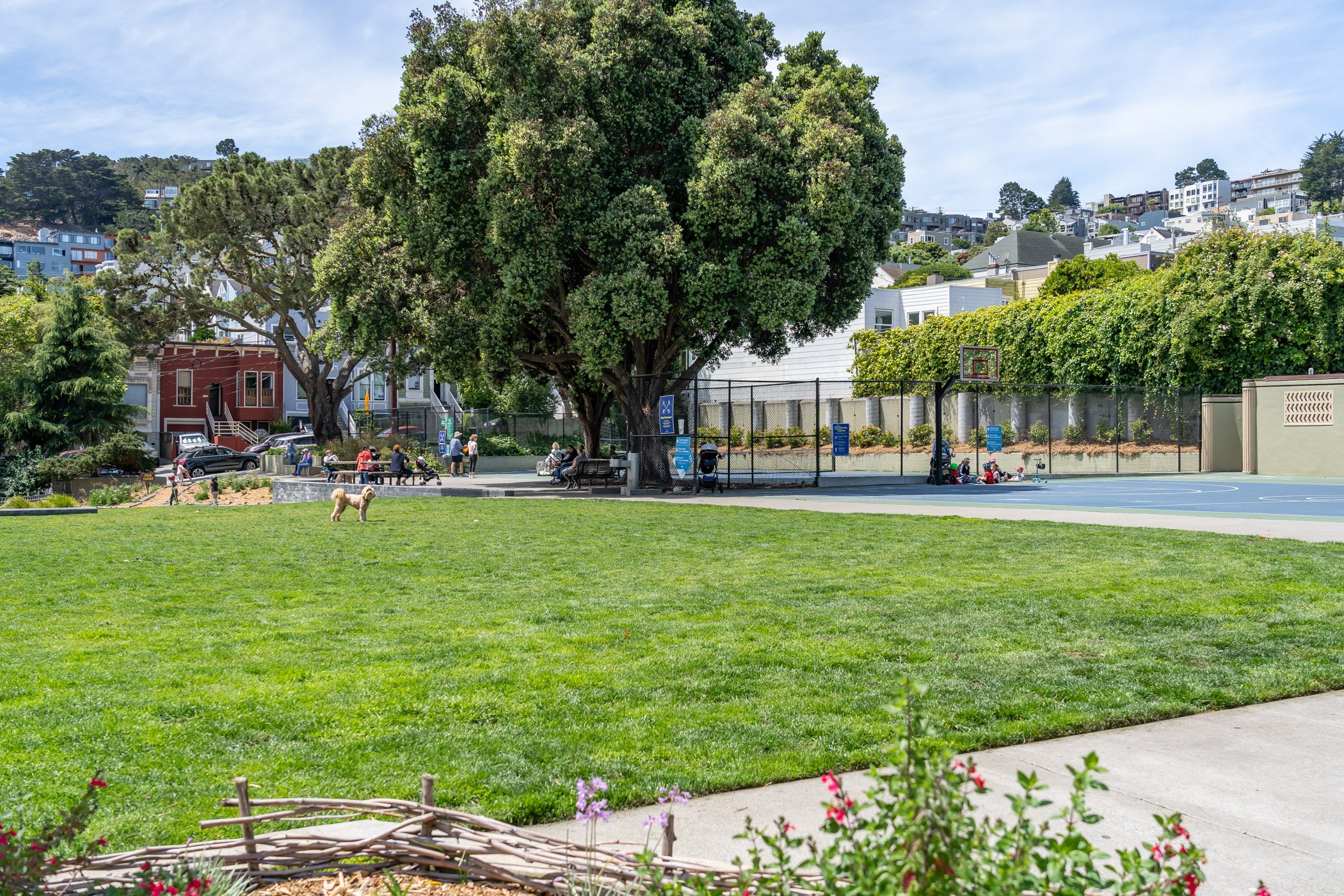 Noe Valley SF MLS68.jpg