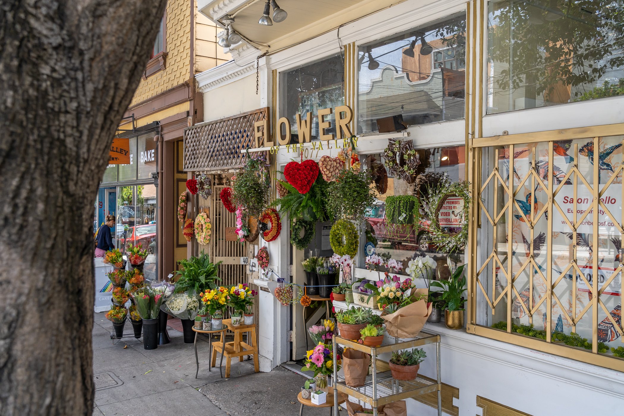 Noe Valley SF MLS59.jpg