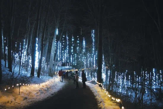 5 Things To Do In Green Bay In November