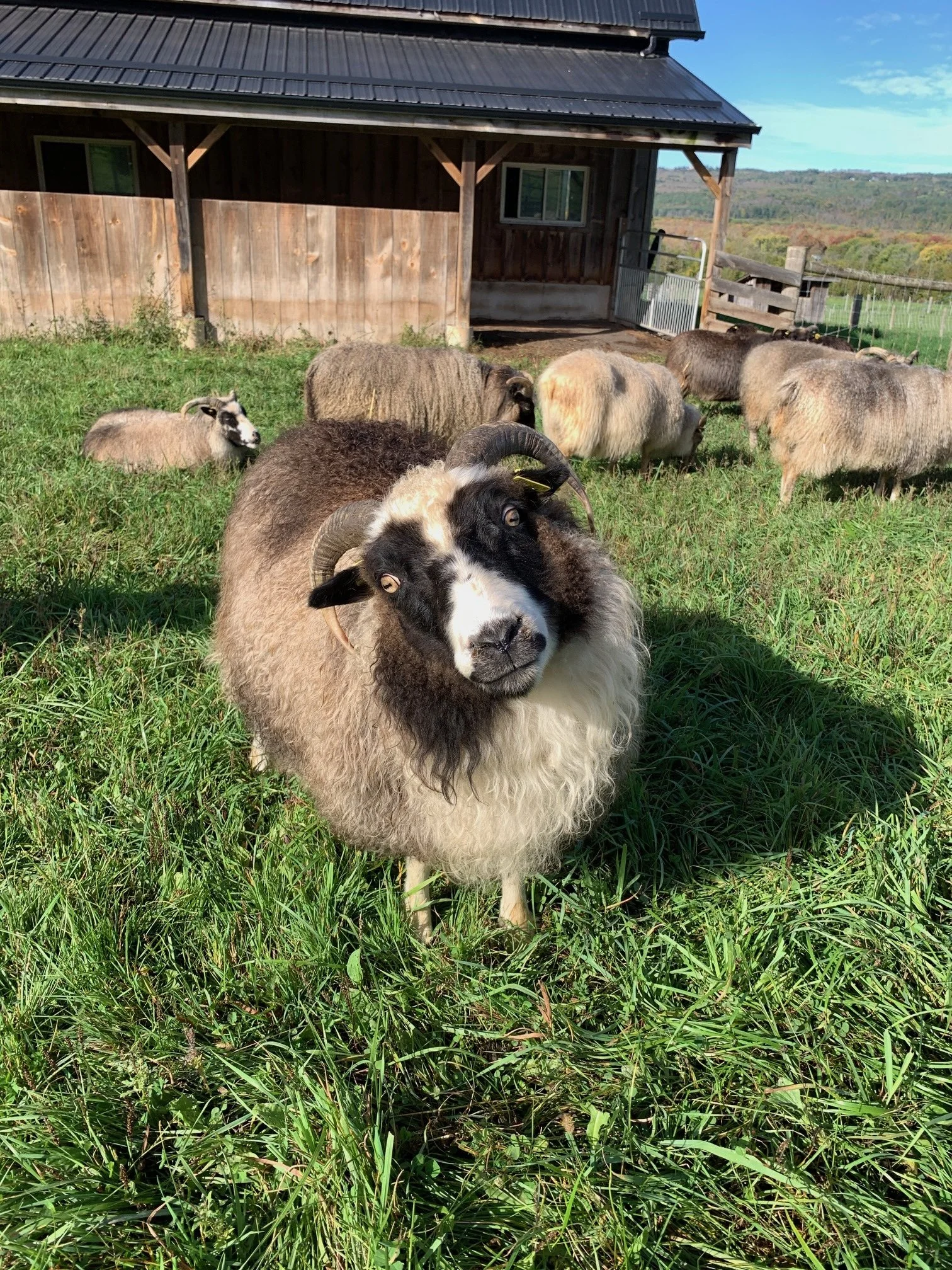 Interactive &amp; Educational Farm Tour