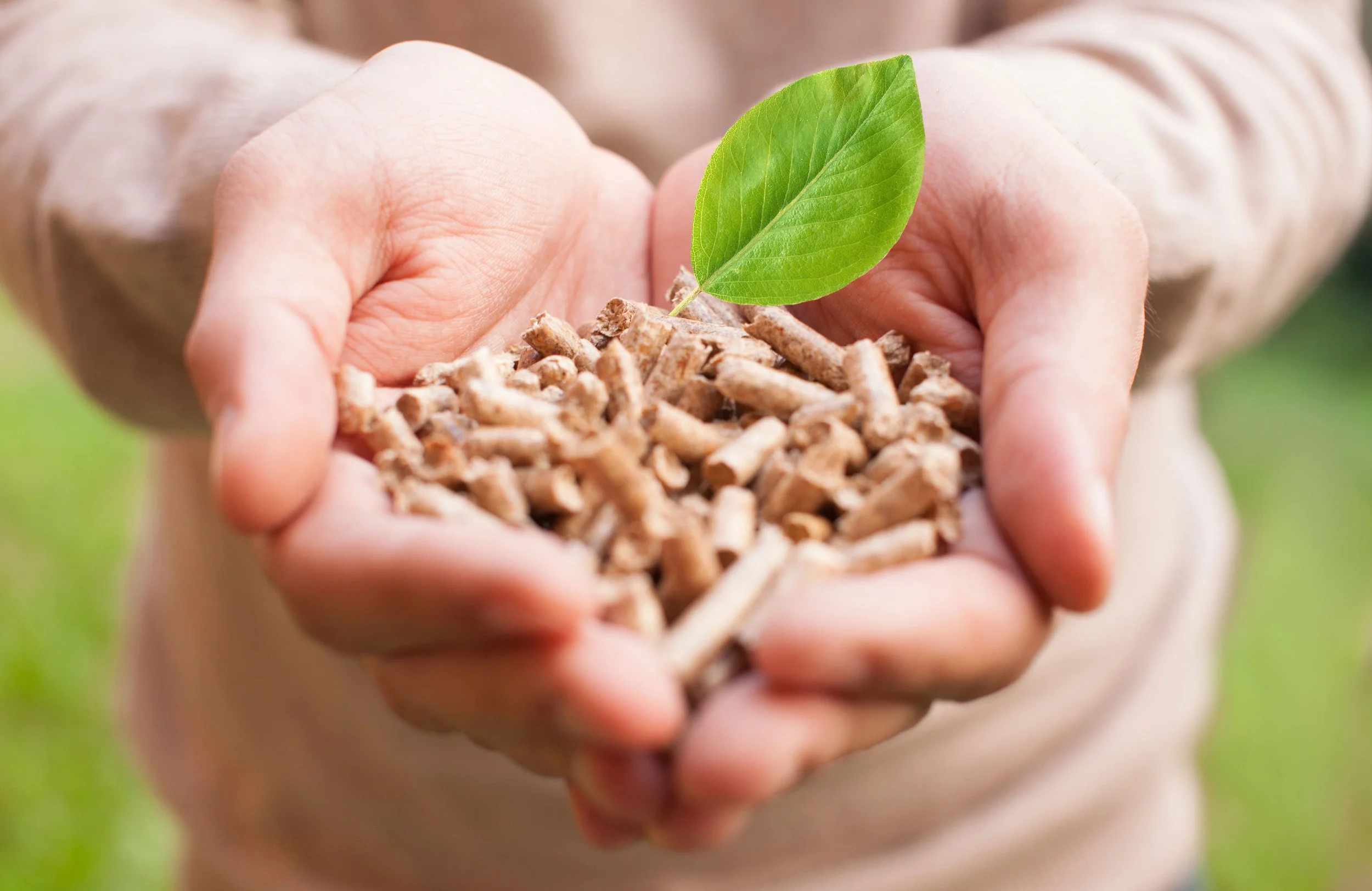 Reviews 1 — Hull & Husk