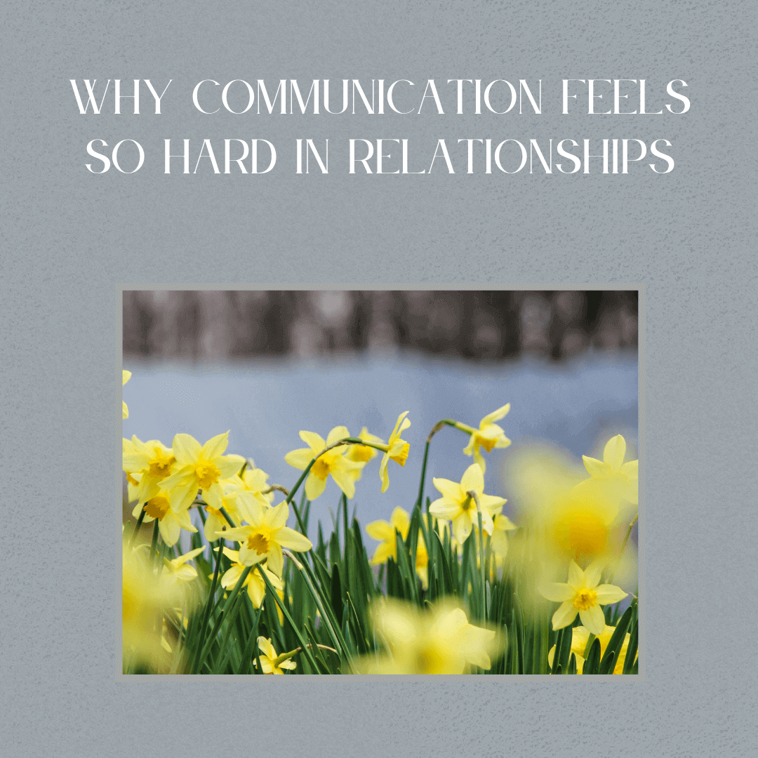 Yellow daffodils symbolizing hope and growth and understanding. | Trauma therapist Alpharetta | Trauma therapy Atlanta | 30004 | 30009 | 30075