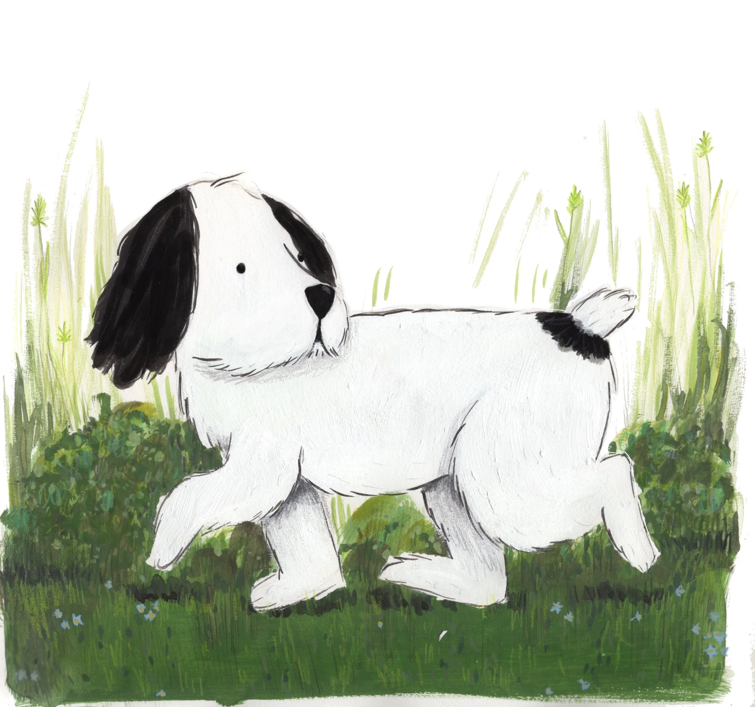 Tina Ochenante 3c.JPG