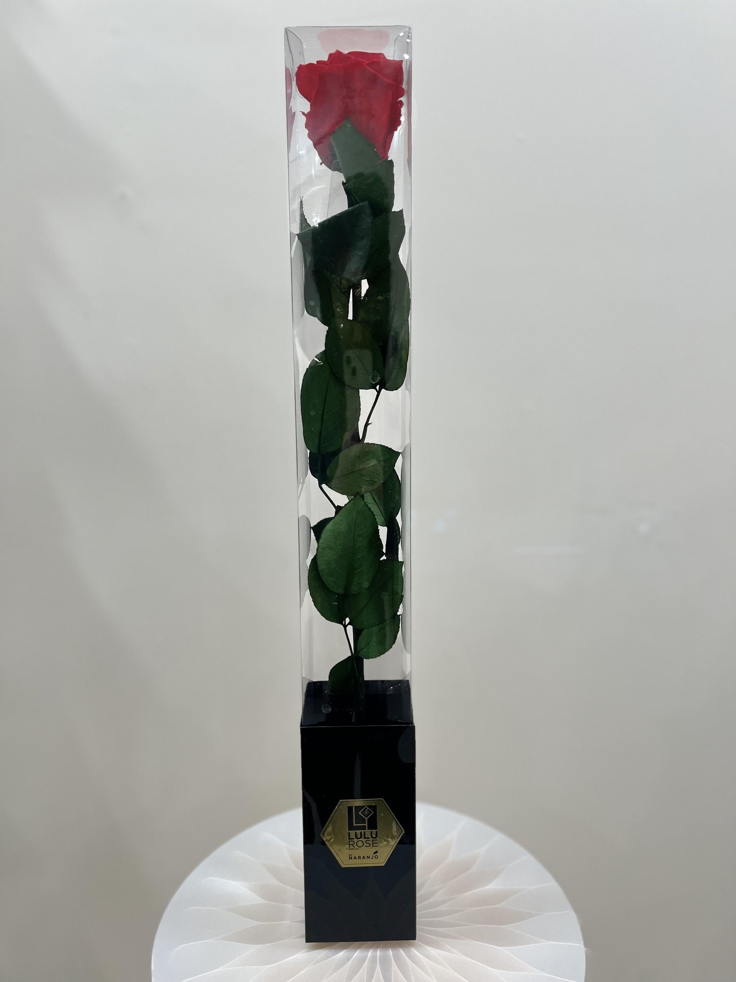 The Eternal Rose — Tina's 4 Ever Flowers