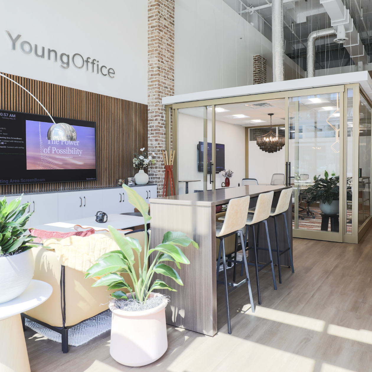 Young Office