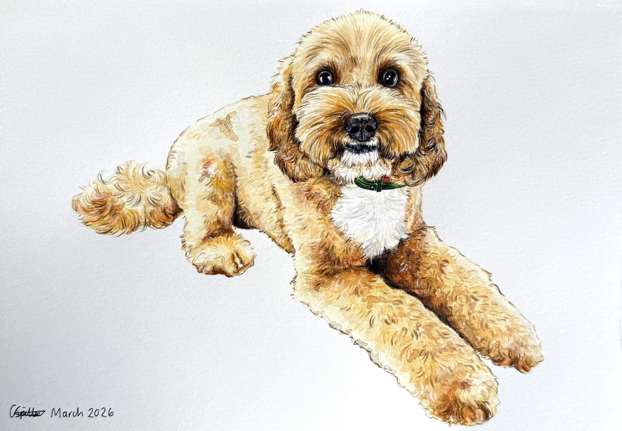 Dog Commission - March 2026