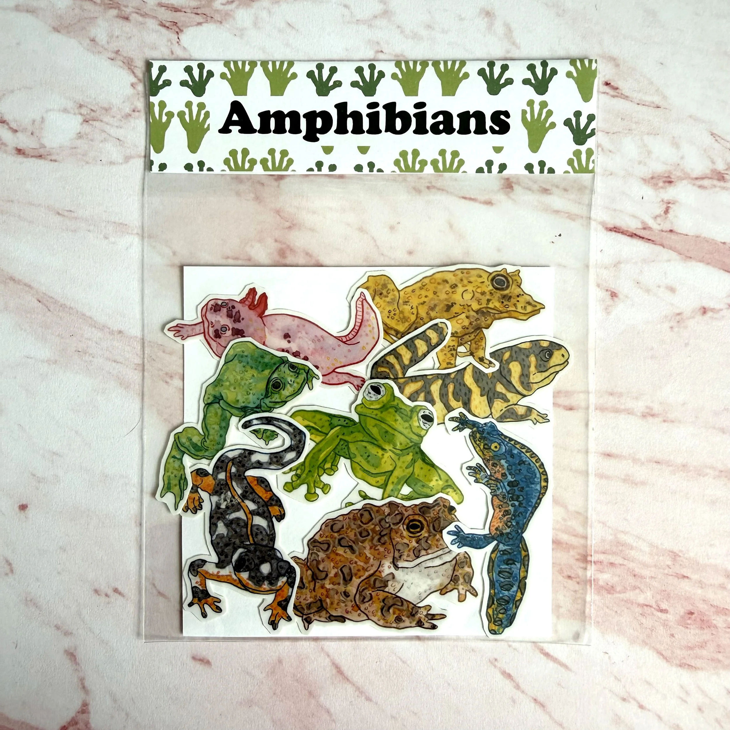 amphibians stickers.jpg