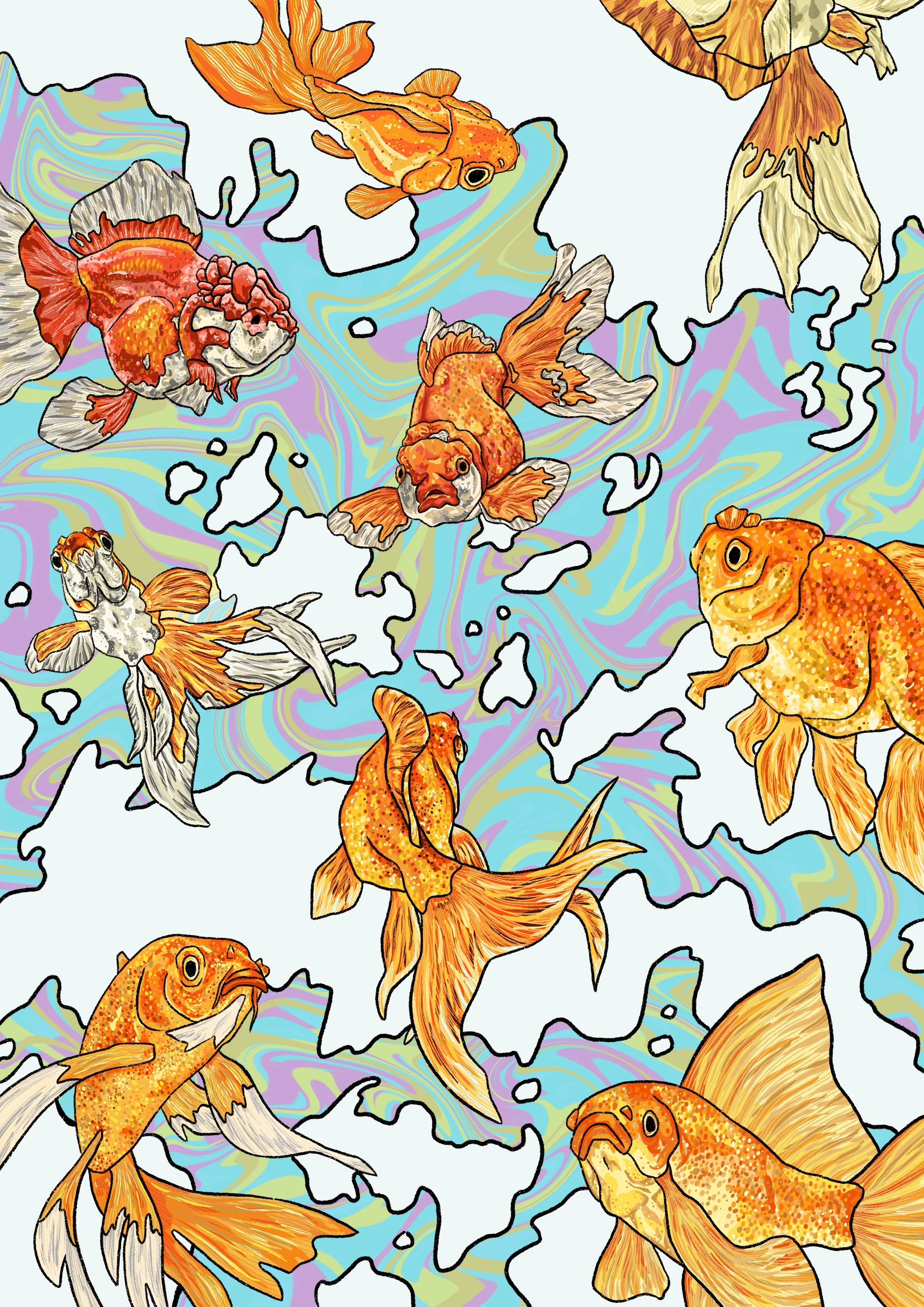 flying fish.JPG