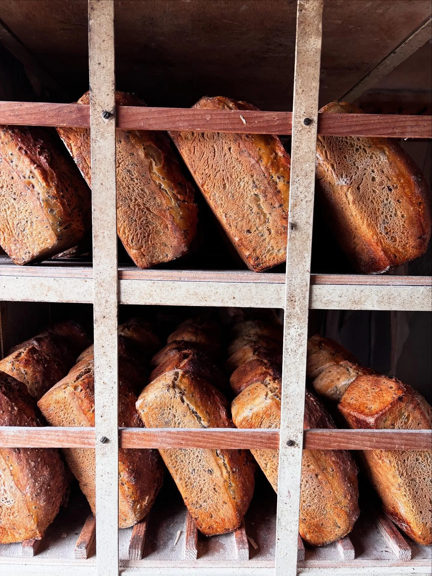 I&rsquo;m currently in France and these past two weeks I have had the chance to stay at a farm and rural bakery where they grow heritage grains.  These are then milled on site and transformed into amazing sourdough bread by three different bakers who