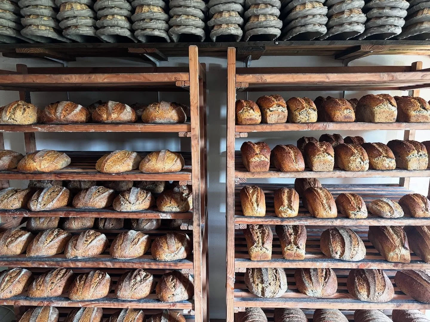 Huge thanks to @fern.island.farm and everyone at @ferme_enez_raden for a wonderful time in Brittany.  I am in awe of Camille&rsquo;s dedication to creating delicious and nourishing bread using very traditional methods and grain grown right on the far