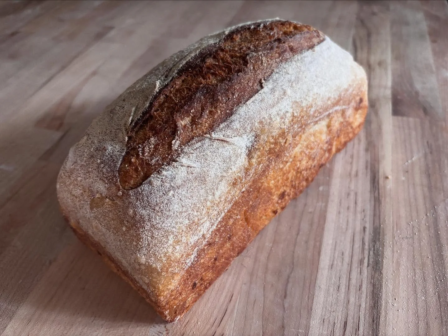 OCTOBER

Some updates from the bakehouse:

Starting this month, I'll be offering our country bread as a pan loaf. Country is our most popular bread, and I'm excited to provide it in this format for those who prefer sandwich loaf.

New addition: crois