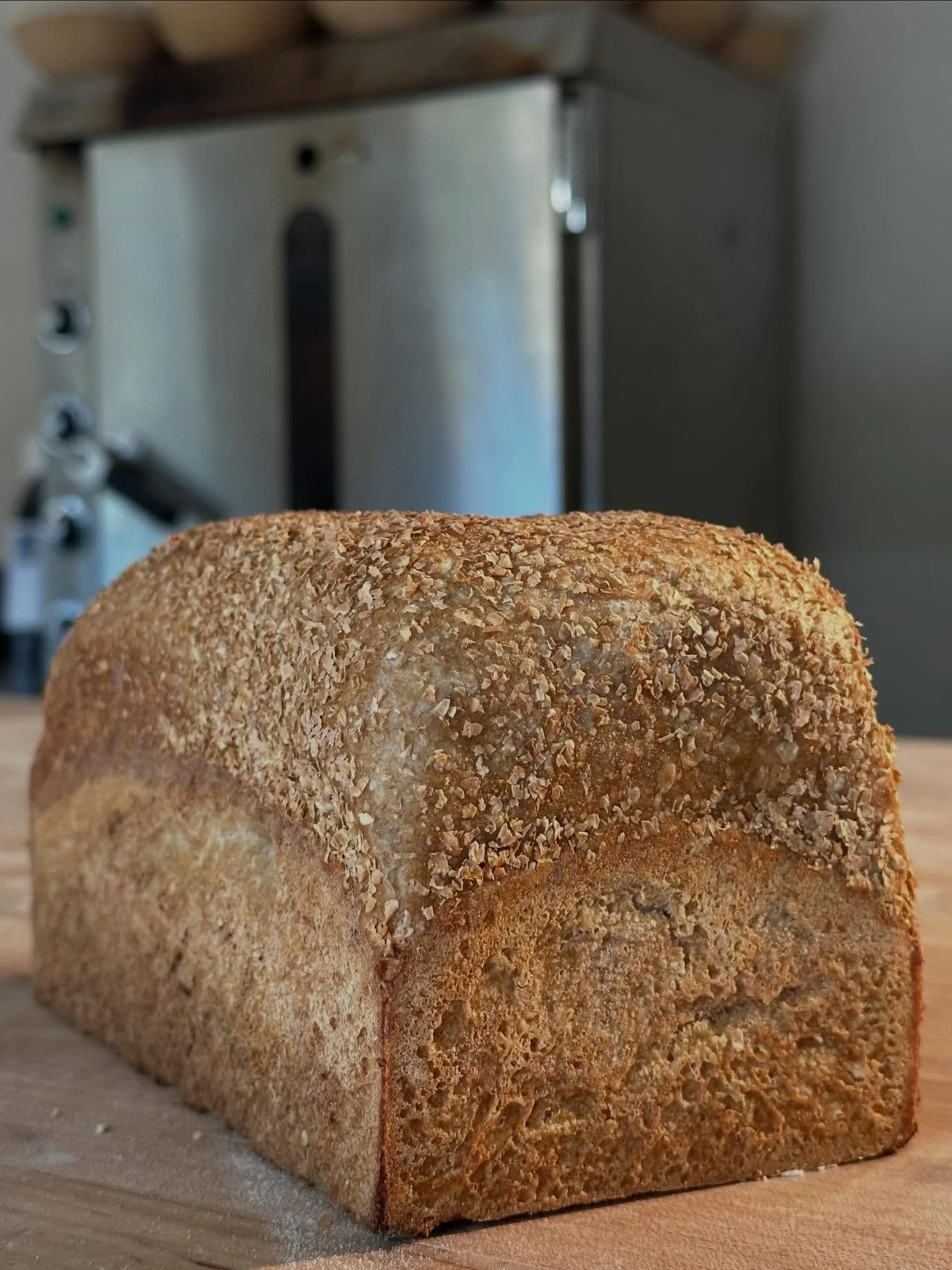 February Updates

It&rsquo;s been an eventful start of the year.  I have been enjoying the cold weather but both the cold and our frequent temperature swings have made making dough rise extra interesting. 😅

Even while busy, I am always thinking up 