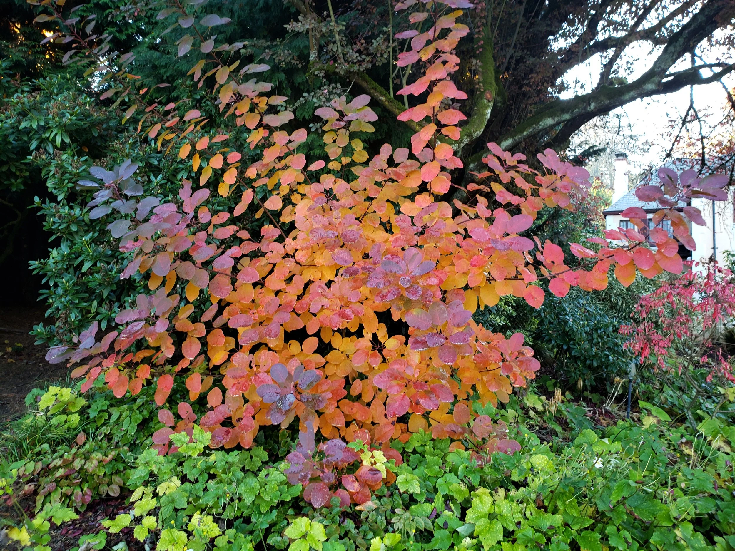 20191105_132236.jpg