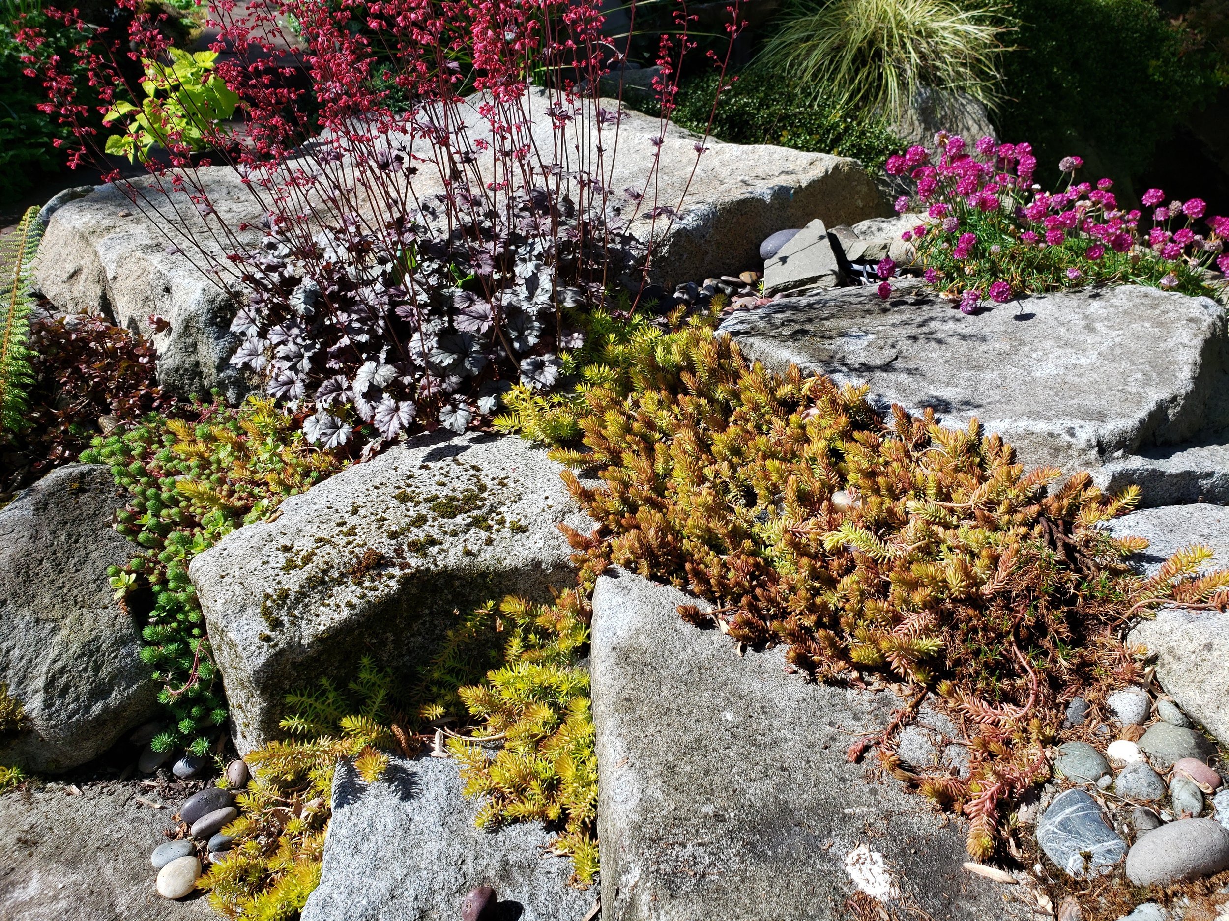 20190507_095411-EFFECTS.jpg