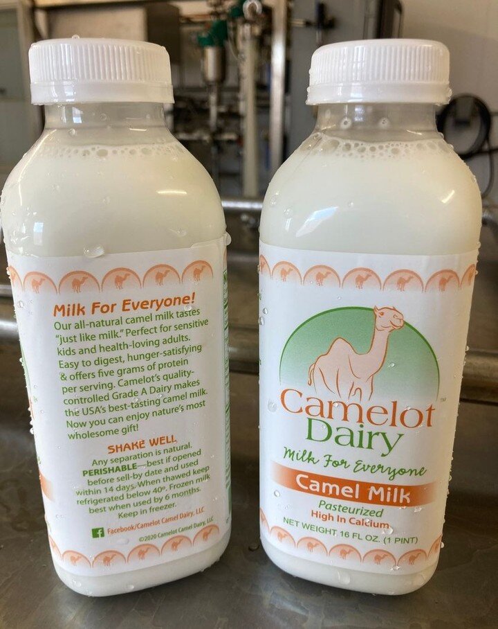 Camel milk @ Camelot Camel Dairy, LLC