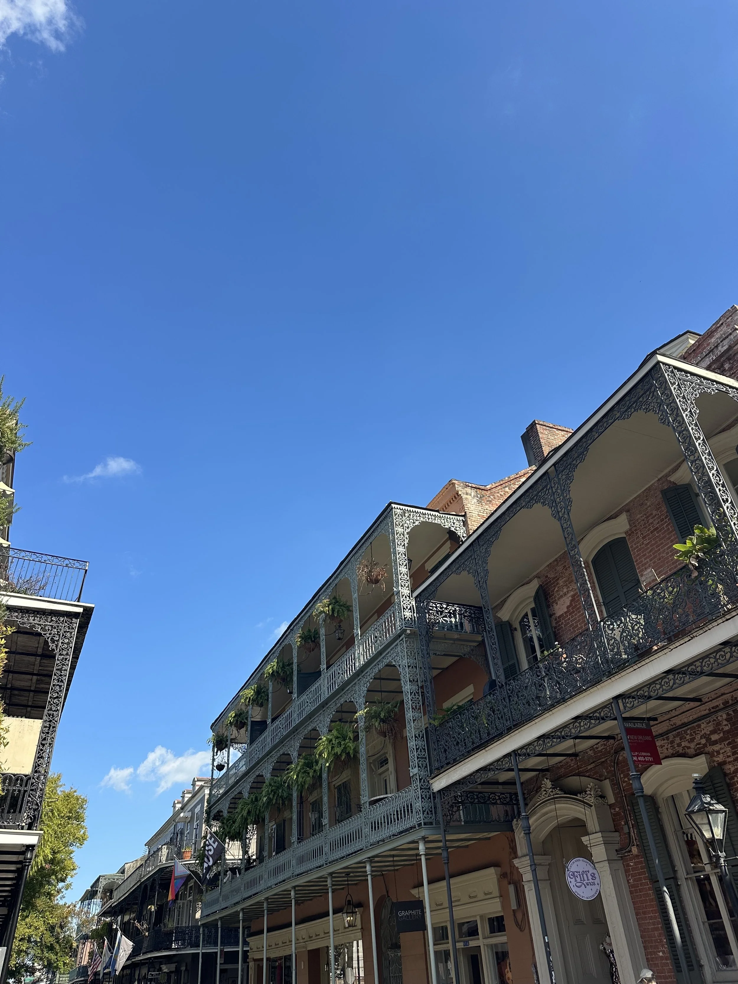 New Orleans travel guide, activity recommendations, and curated itinerary from What to When.