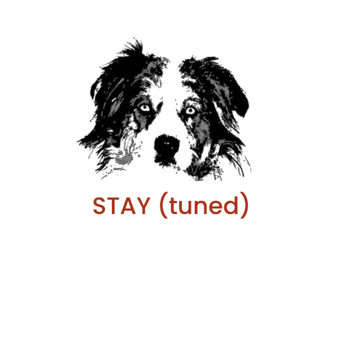 Coming soon-Baxter