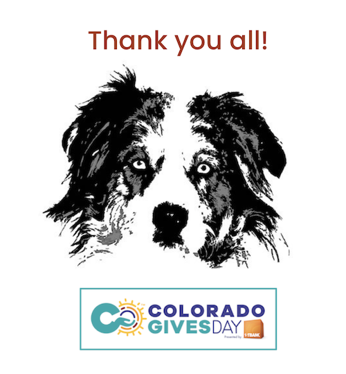 Thank you for giving!