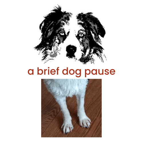 CHDR Dog Pause