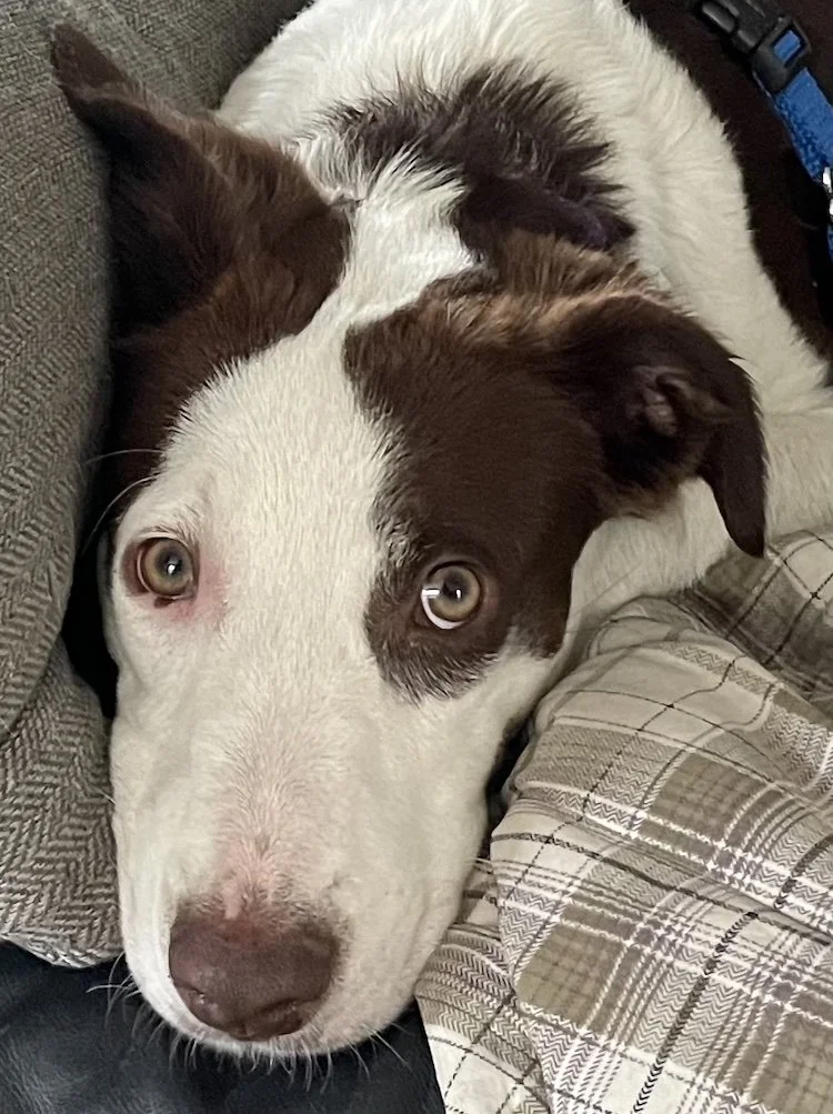 Zoey