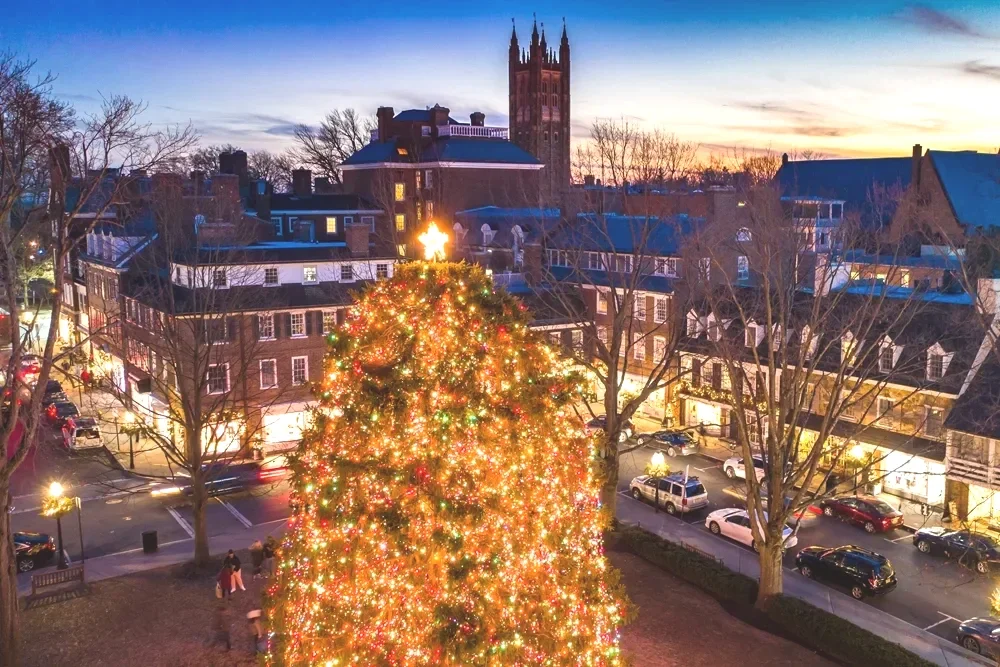 Palmer Square Christmas Tree