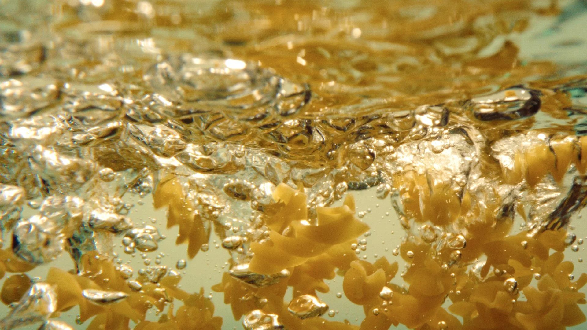 Still 2025-08-21 113621_1.5.1.T.jpg