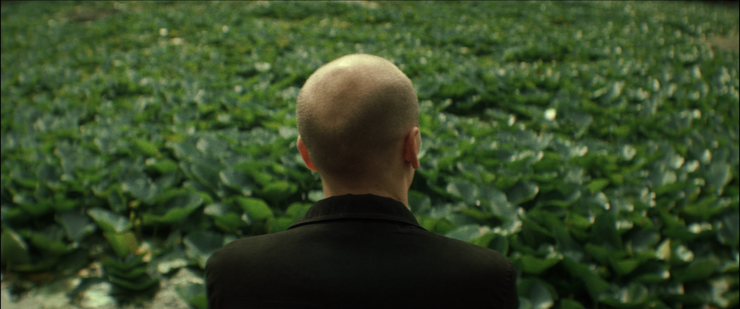 Screenshot 2025-10-17 at 5.53.46 PM.png