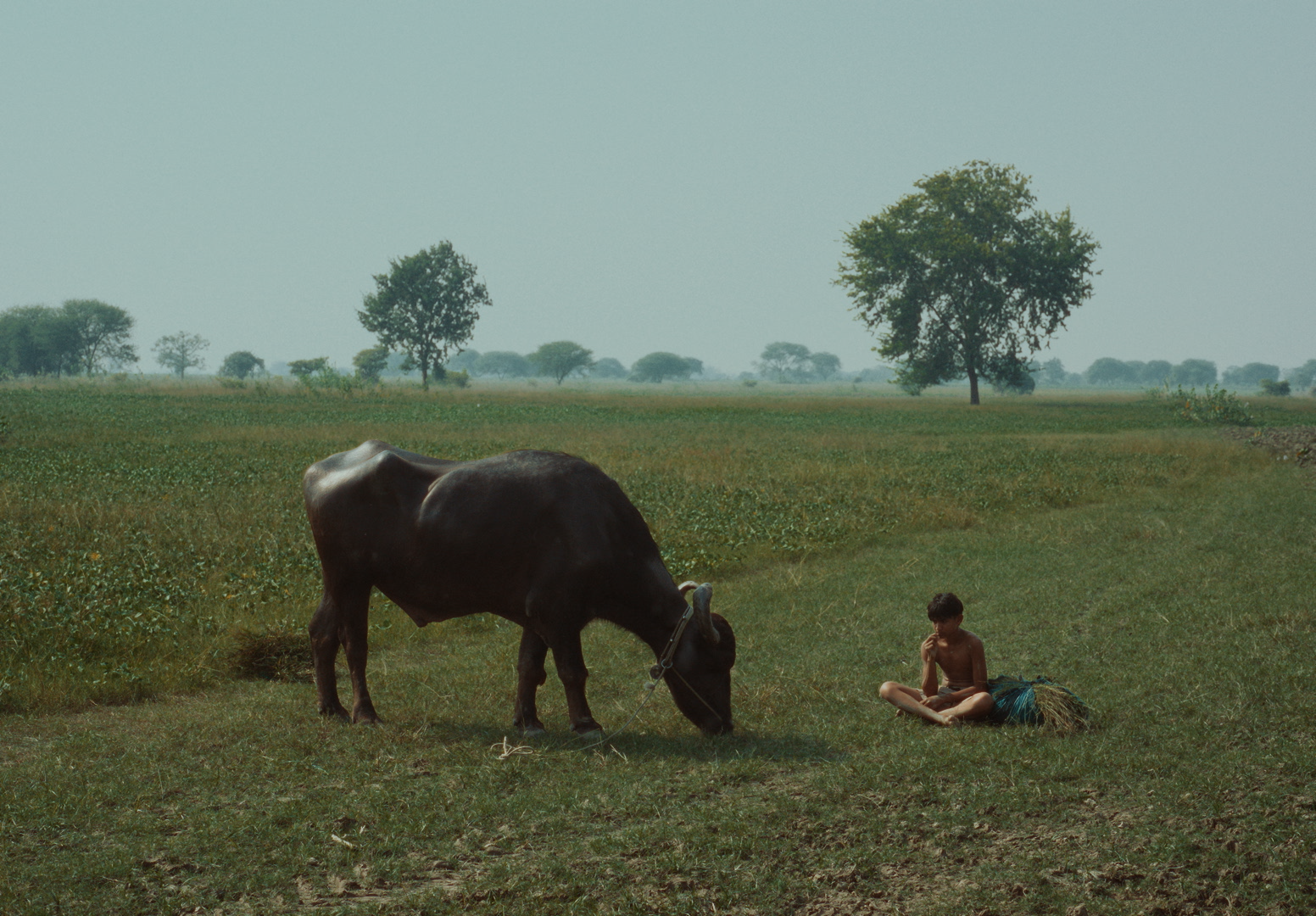 BEFORE THE RIVER DRIES | FILM