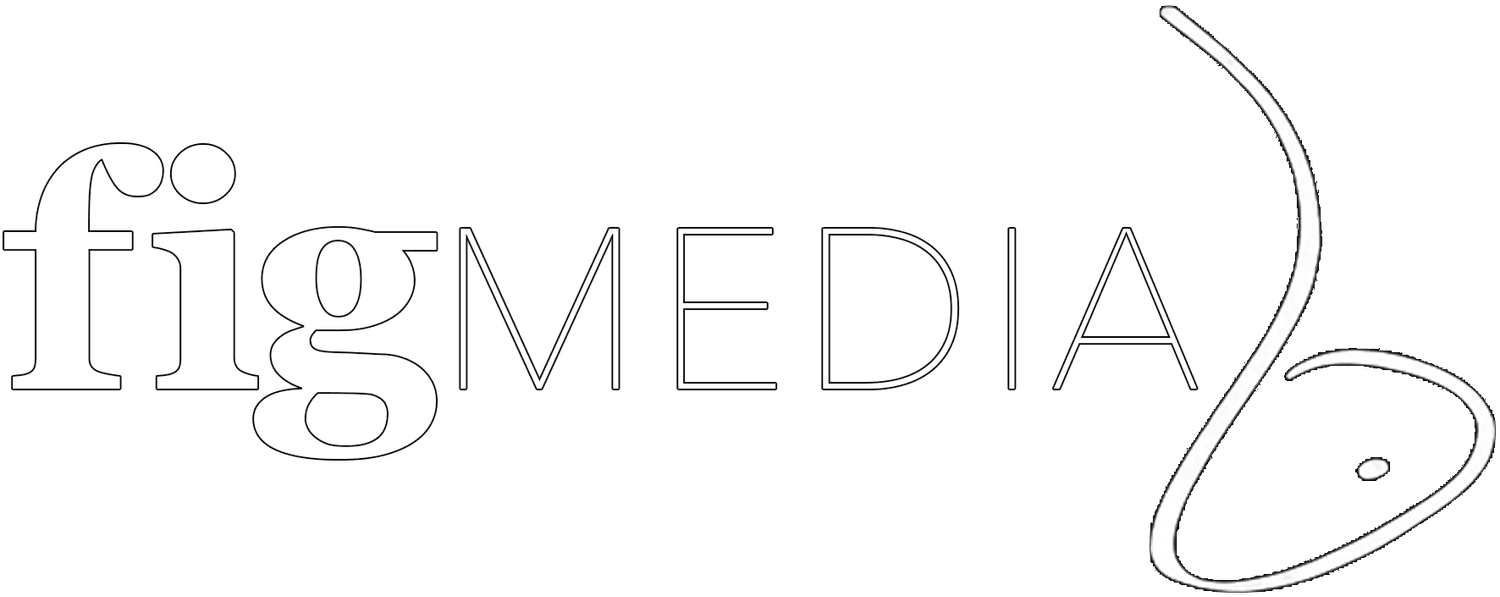 Fig Media Inc DJ Film and Photo for your Events