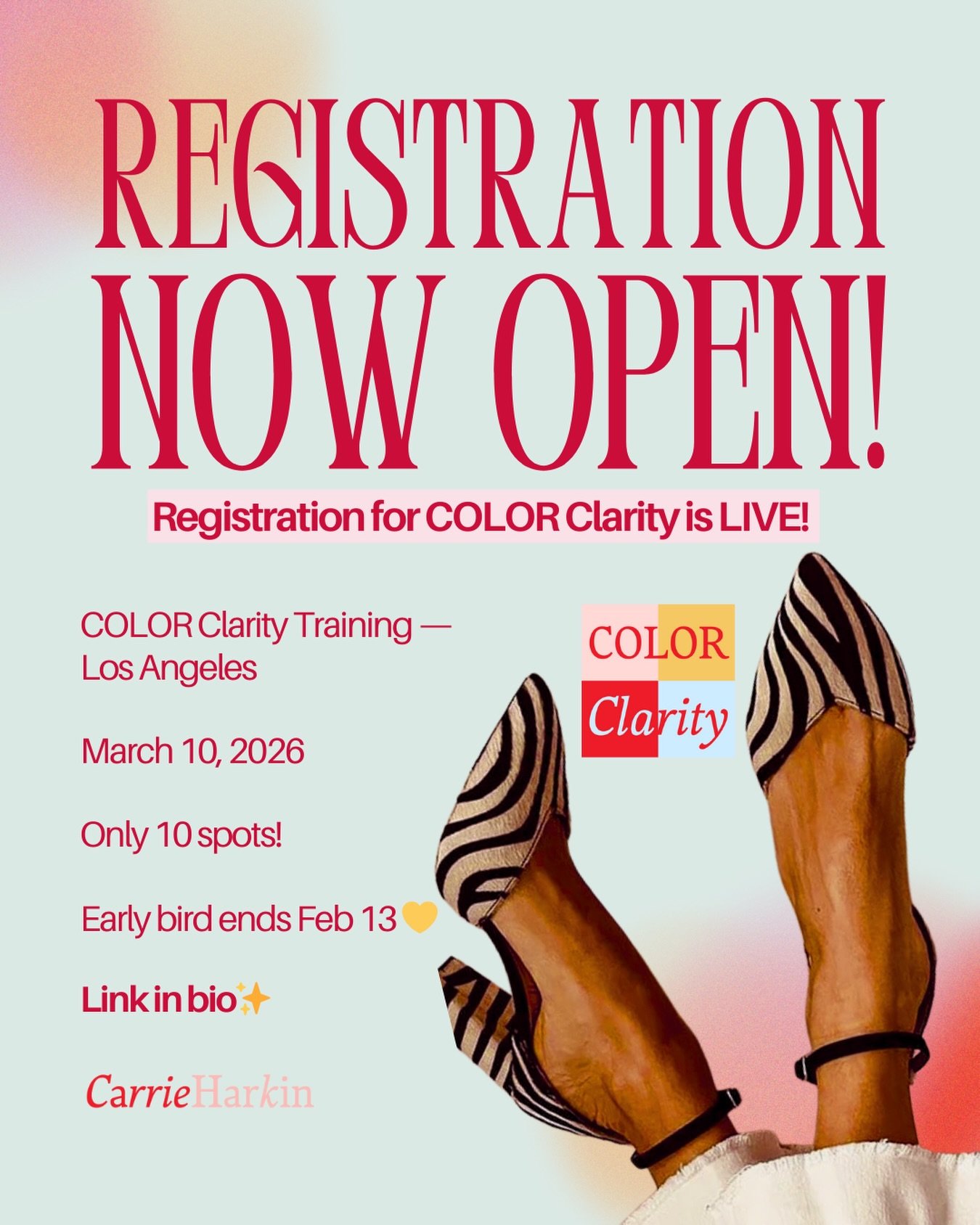 ✨Registration for COLOR Clarity training in Los Angeles is now open! ✨

This experience is about using color knowledge as a true business advantage &mdash; the kind that increases your authority, strengthens client trust, improves retention, and supp