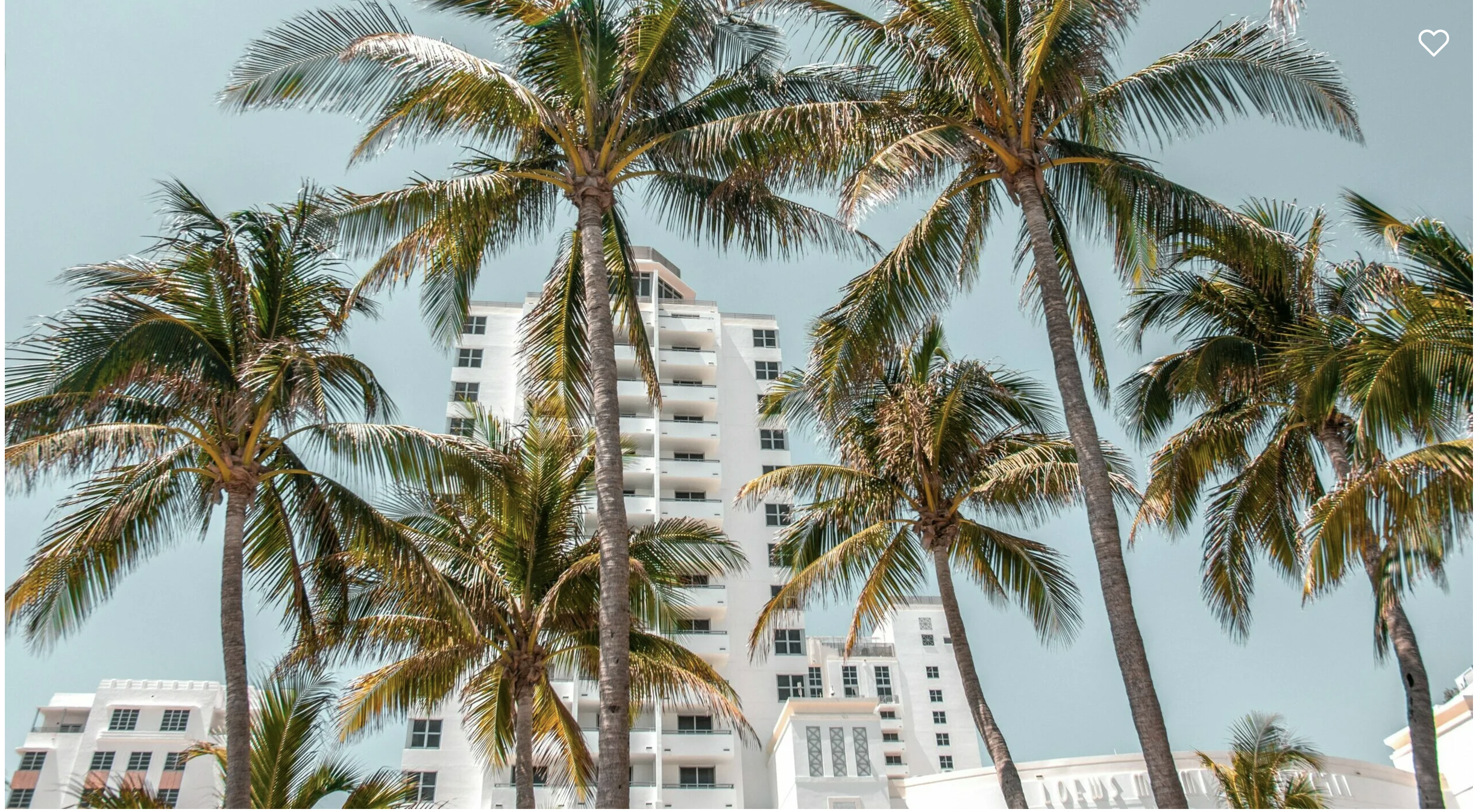 one art nation, “Miami’s Top Art Advisors: The Experts Behind the City’s Most Influential Collections”