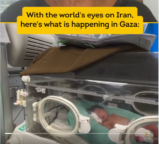With the world’s eyes on Iran, “the people in Gaza are being overlooked.”