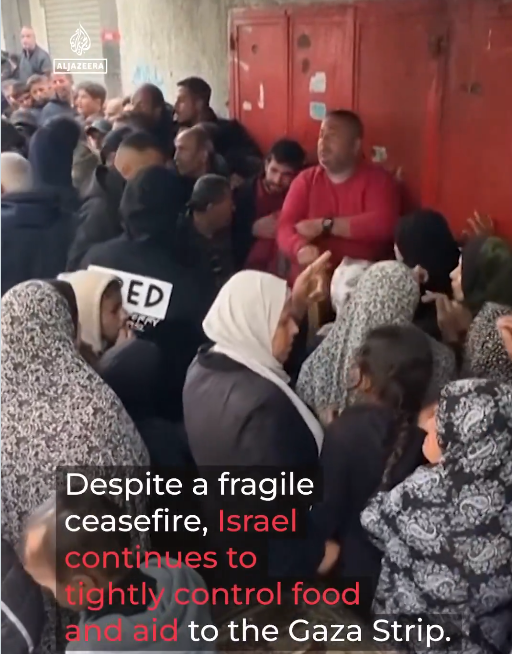 Palestinians queue for hours in pouring rain to get bread