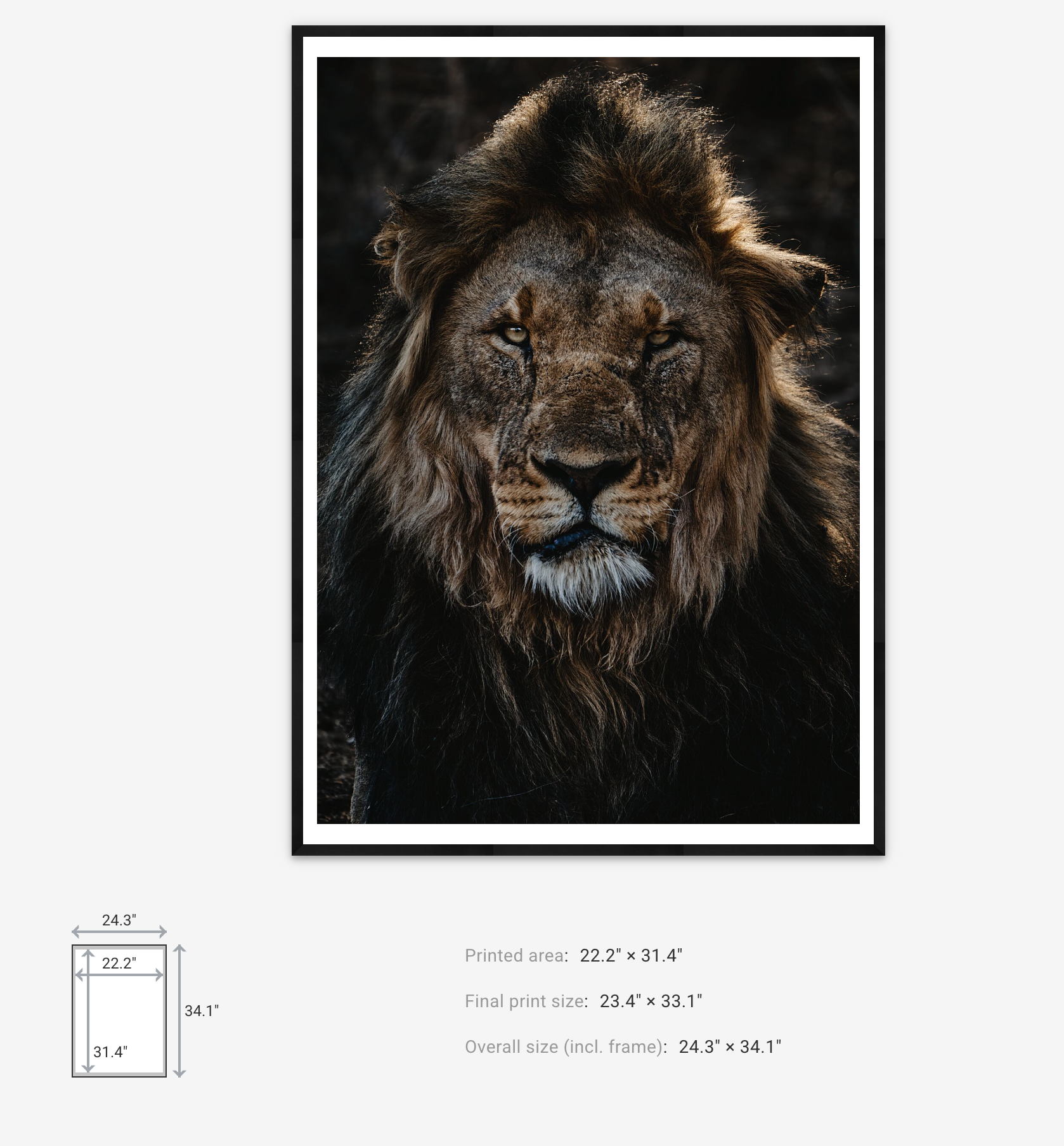 Titan print and frame dimensions – Max Stanley