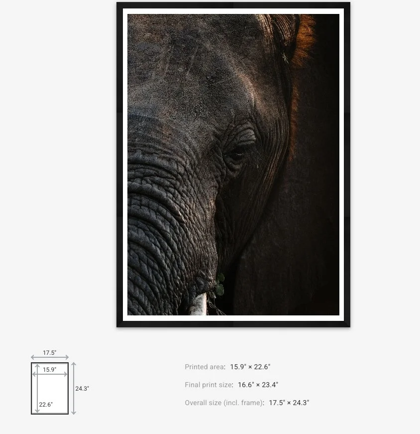 Lines print and frame dimensions – Max Stanley