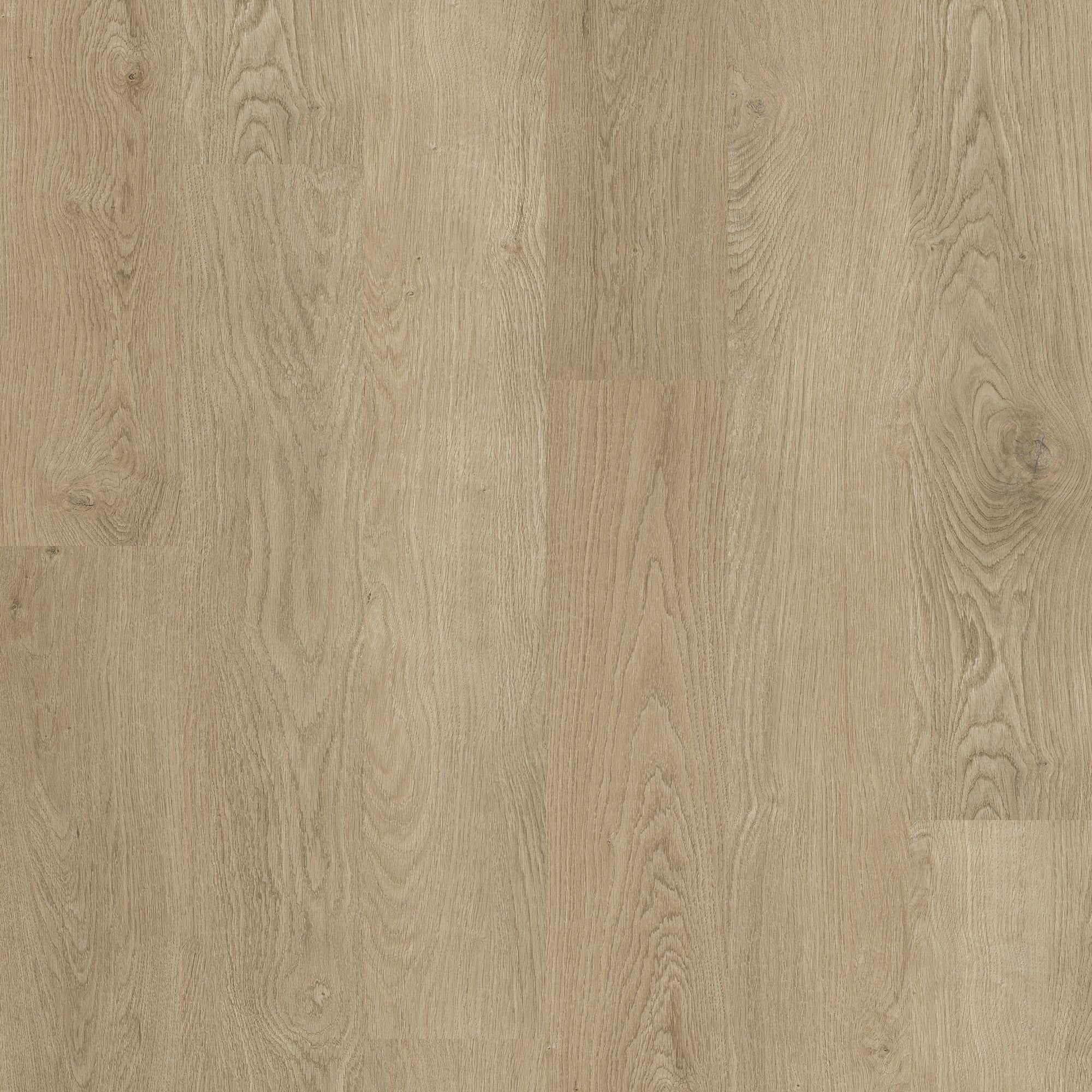 Harmony Oak