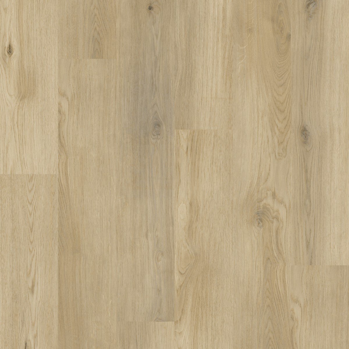 Sunrise Oak