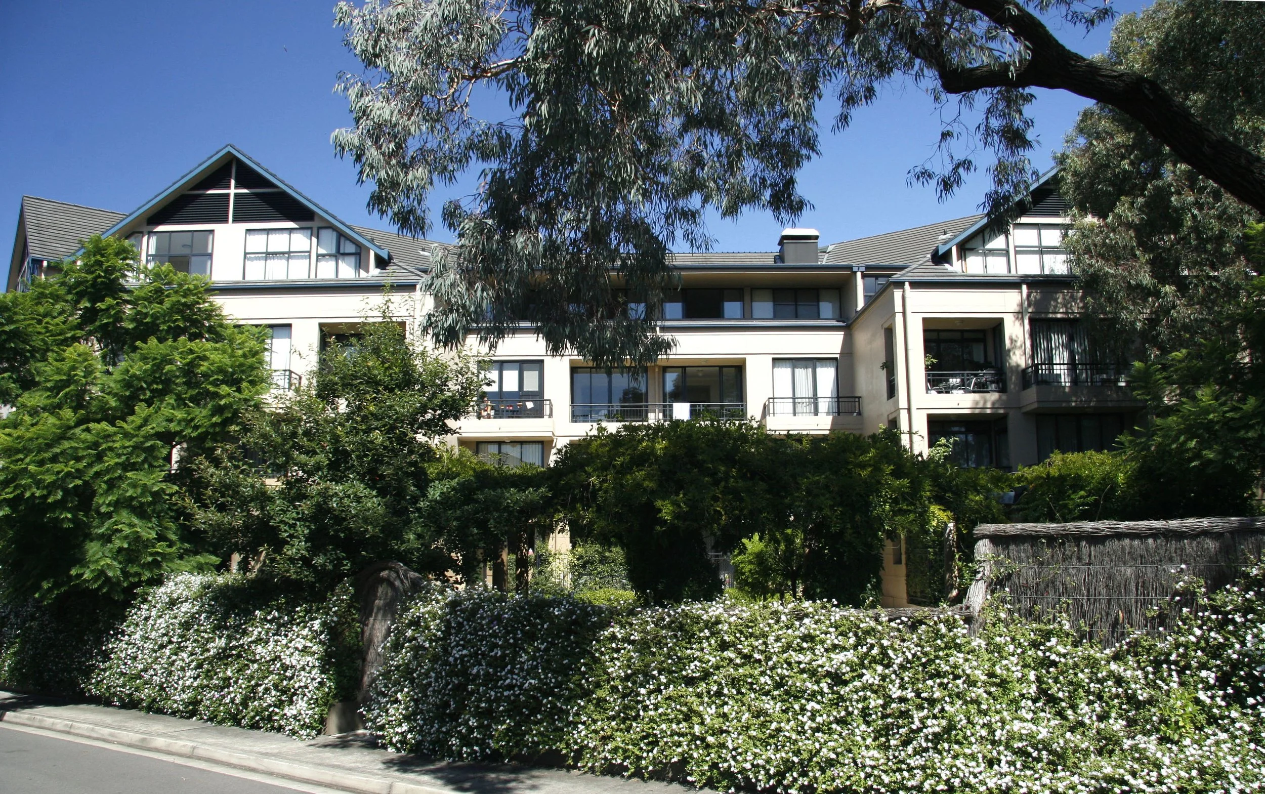 Andean 01.jpg